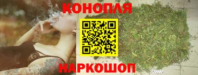 стафф Славянск-на-Кубани
