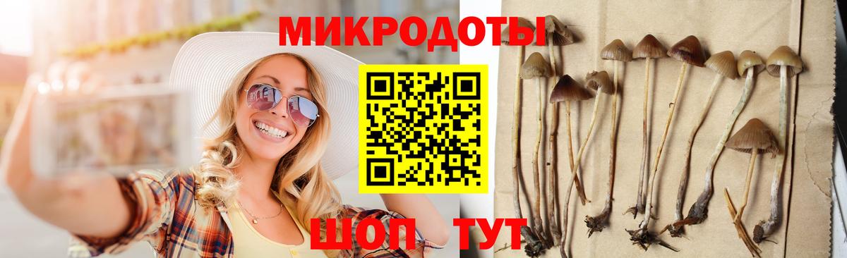 Псилоцибиновые грибы ЛСД Похвистнево